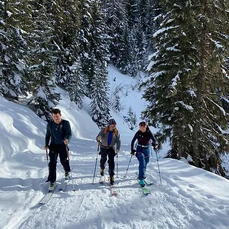 Skivillaroger